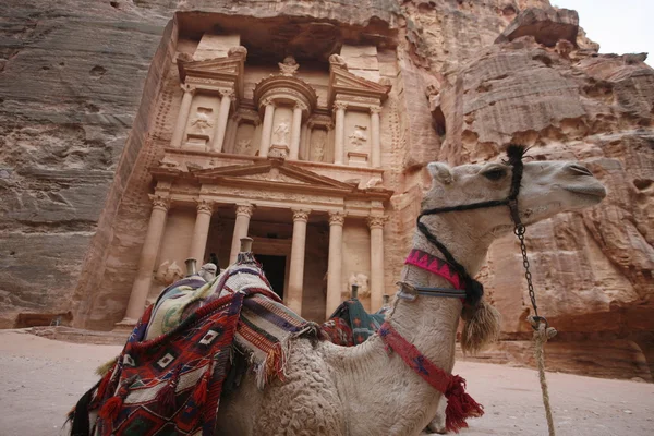 Asien Mittlerer Osten Jordanien Petra — Stockfoto