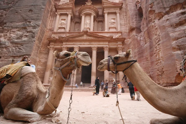 Jordan Petra Middle East Asia — Zdjęcie stockowe