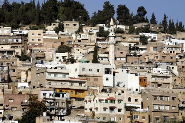 Asya Orta Doğu Jordan Salt