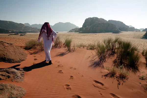 ASIA MIDDLE EAST JORDAN WADI RUM — Stock Photo, Image