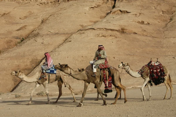 ÁSIA MÉDIA ORIENTE JORDÃO WADI RUM — Fotografia de Stock