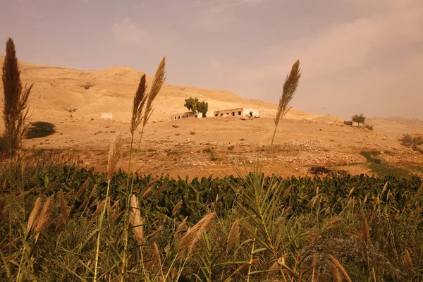 Střední Asie východní Jordan — Stock fotografie