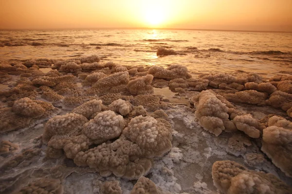 アジア中東東 Jordan 死海 — ストック写真