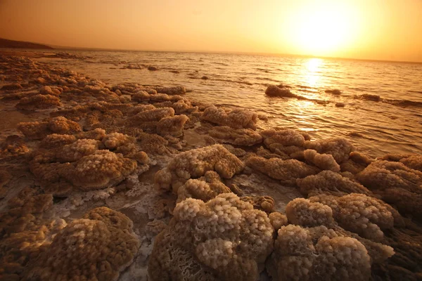 アジア中東東 Jordan 死海 — ストック写真