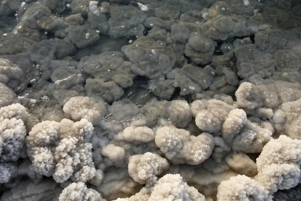 Asya Orta Doğu Jordan Deat deniz — Stok fotoğraf