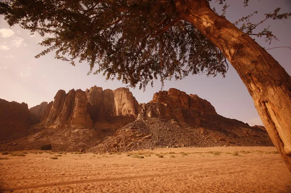 Asie střední východ Jordan Wádí Rum — Stock fotografie