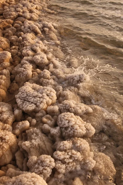 Asya Orta Doğu Jordan Deat deniz — Stok fotoğraf