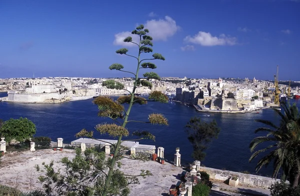 EUROPE MALTA VALLETTA — Stock Photo, Image