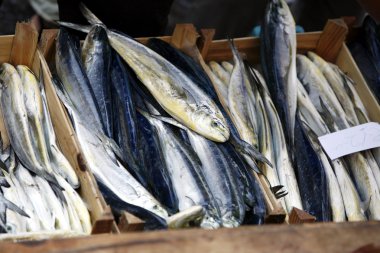 Europe İtalya Sicilya