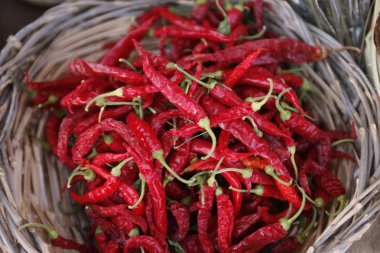 Europe İtalya Sicilya