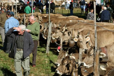 Europe İtalya Lago Maggiore