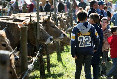 Europe İtalya Lago Maggiore