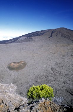 Afrika Fransa La Reunion