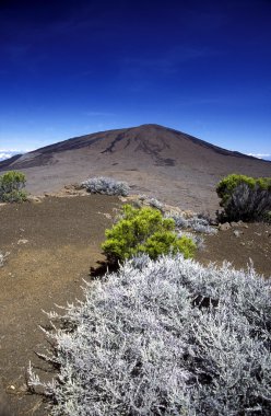 Afrika Fransa La Reunion