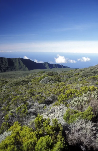 Afrika Frankrike La Reunion — Stockfoto