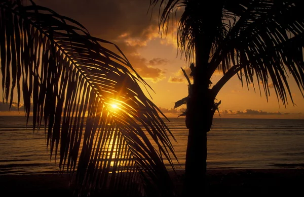 AFRICA FRANCE LA REUNION — Stock Photo, Image