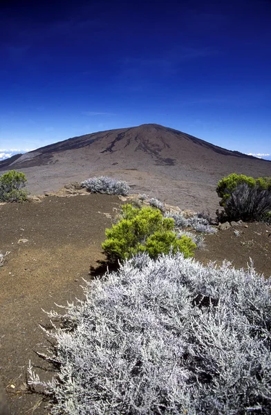 Afrika Franciaország La Reunion — Stock Fotó