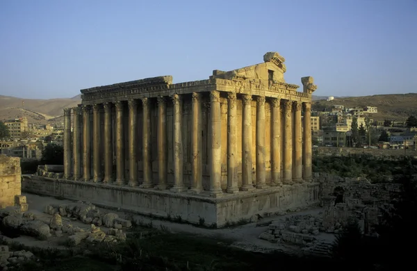 Ліван Кесарію Азії — стокове фото