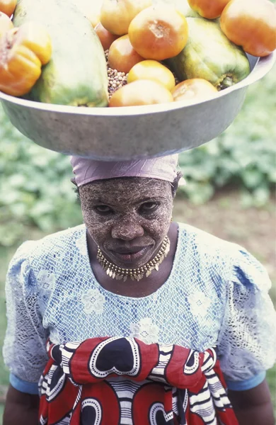 África Comoras Anjouan — Foto de Stock