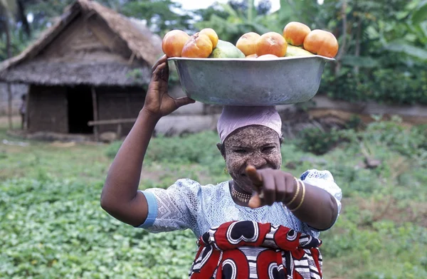 Afrika Komorerna Anjouan — Stockfoto