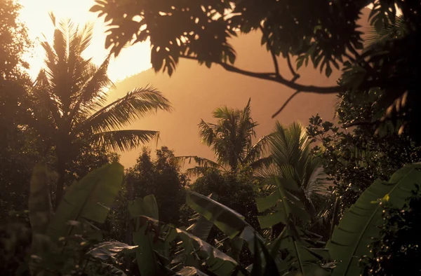 Горный Пейзаж Острове Анжуан Коморских Островах Индийском Океане Африке — стоковое фото