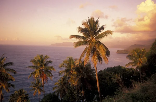 ÁFRICA COMOROS ANJOUAN — Fotografia de Stock