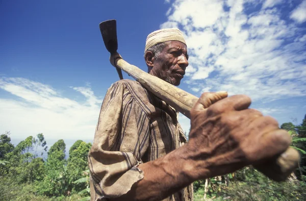 África Comoras Anjouan — Foto de Stock