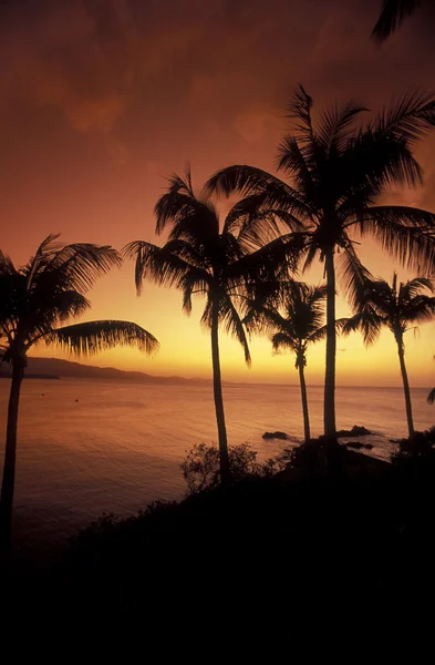 ÁFRICA COMOROS ANJOUAN — Fotografia de Stock