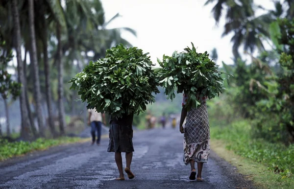 Afrika Komor Adaları Anjouan