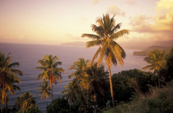 ÁFRICA COMOROS ANJOUAN — Fotografia de Stock