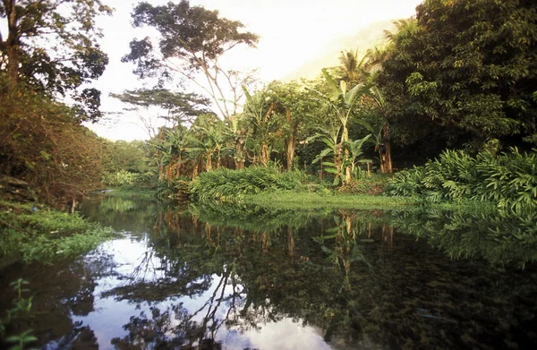 ÁFRICA COMOROS ANJOUAN — Fotografia de Stock