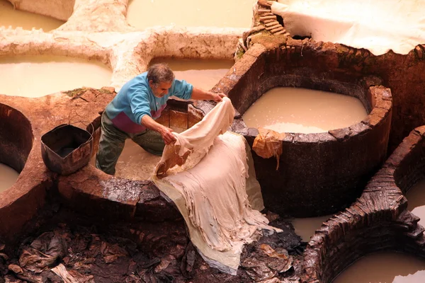 AFRICA MOROCCO FES — Stock Photo, Image