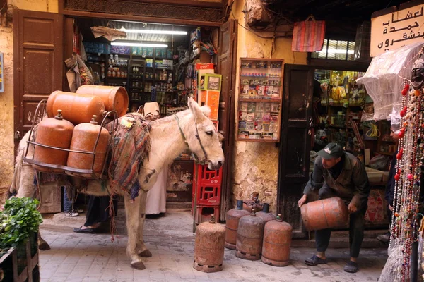 AFRICA MAROCCO FES — Foto Stock