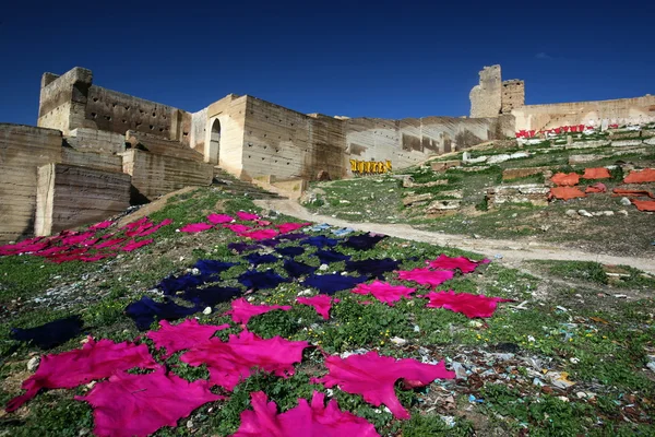 Afrika Fas Fes — Stok fotoğraf