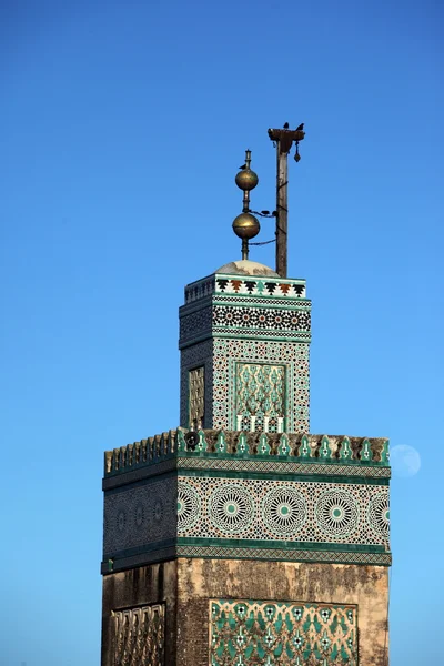 ÁFRICA MARROCOS FES — Fotografia de Stock