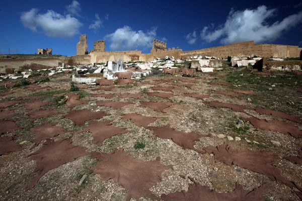 Afrika Fas Fes — Stok fotoğraf