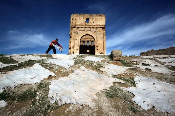 Afrika Fas Fes — Stok fotoğraf