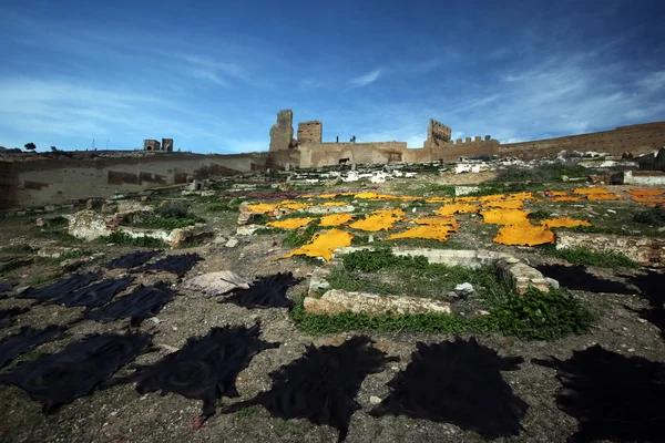 Afrika Fas Fes — Stok fotoğraf