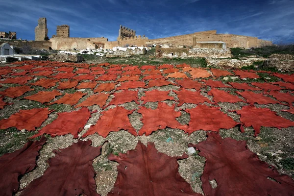 Afrika Fas Fes — Stok fotoğraf