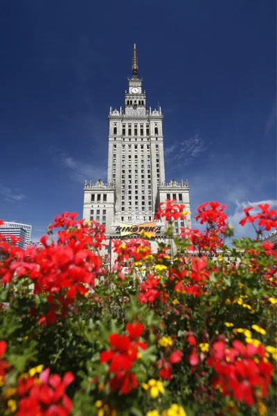 РОПА ПОЛАНД-ВАРСАВ — стоковое фото