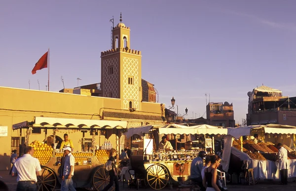 Afrika Marocko Marrakech — Stockfoto