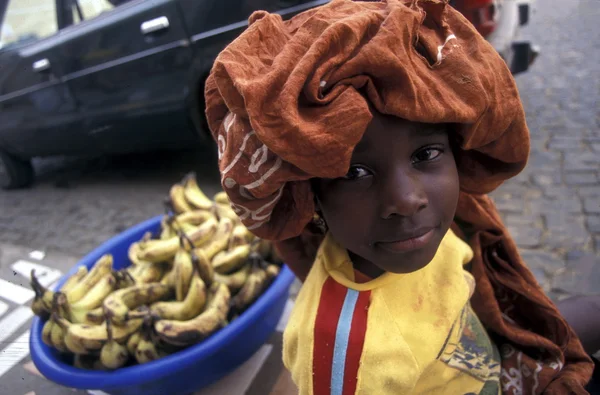 ÁFRICA CAFÉ VERDE SANTO ANTAO — Fotografia de Stock