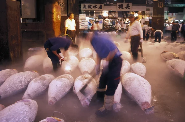 TÓQUIO JAPÃO DA ÁSIA — Fotografia de Stock