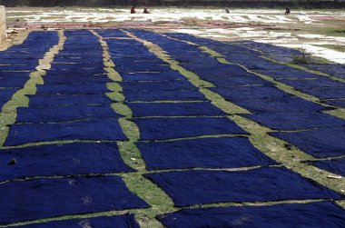 Asya Hindistan İstanbul