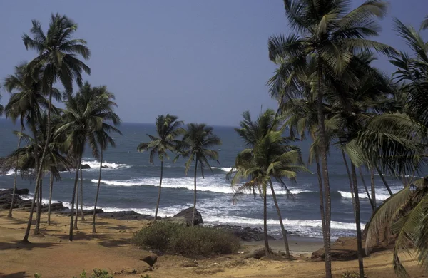 Asia India Goa — Foto de Stock