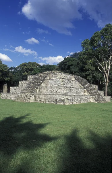 Latinská Amerika Honduras Copan — Stock fotografie