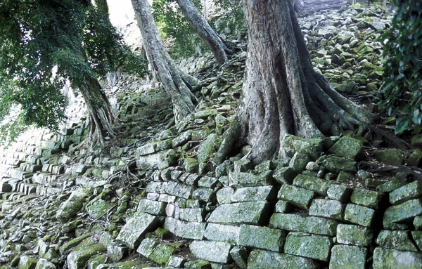 Latinská Amerika Honduras Copan — Stock fotografie