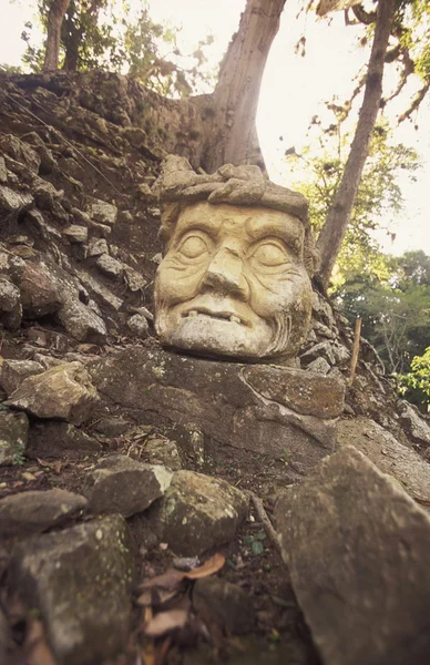 AMÉRICA LATINA HONDURAS COPAN — Fotografia de Stock