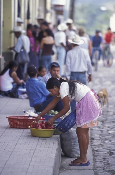 LATIN AMERICA HONDURAS COPAN ประเทศไทย — ภาพถ่ายสต็อก