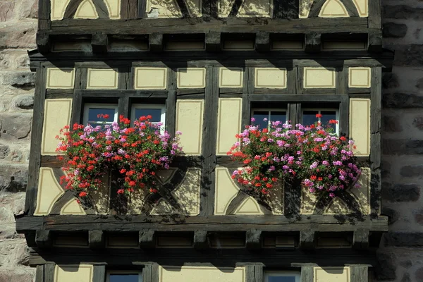 EUROPA FRANCIA ALSACE — Foto Stock